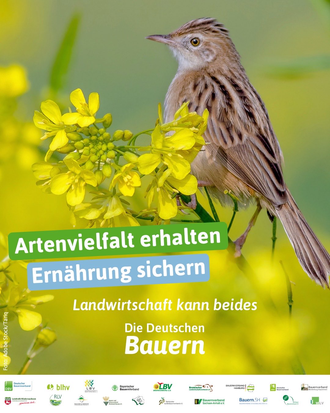tag-der-artenvielfalt.jpg