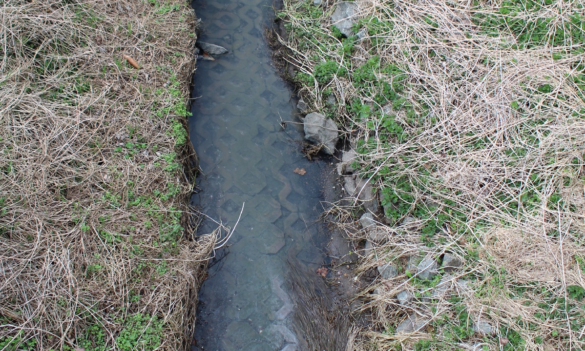 Neue Analyse bestätigt langjährige Vermutung