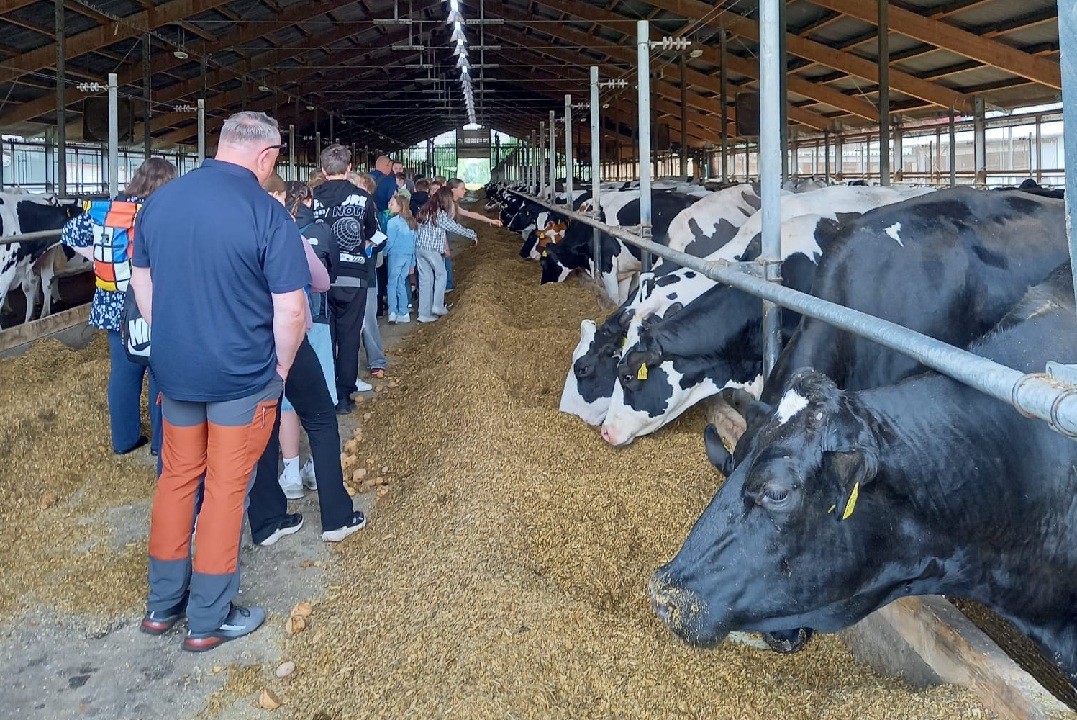 Ein toller Ausflug in die Landwirtschaft