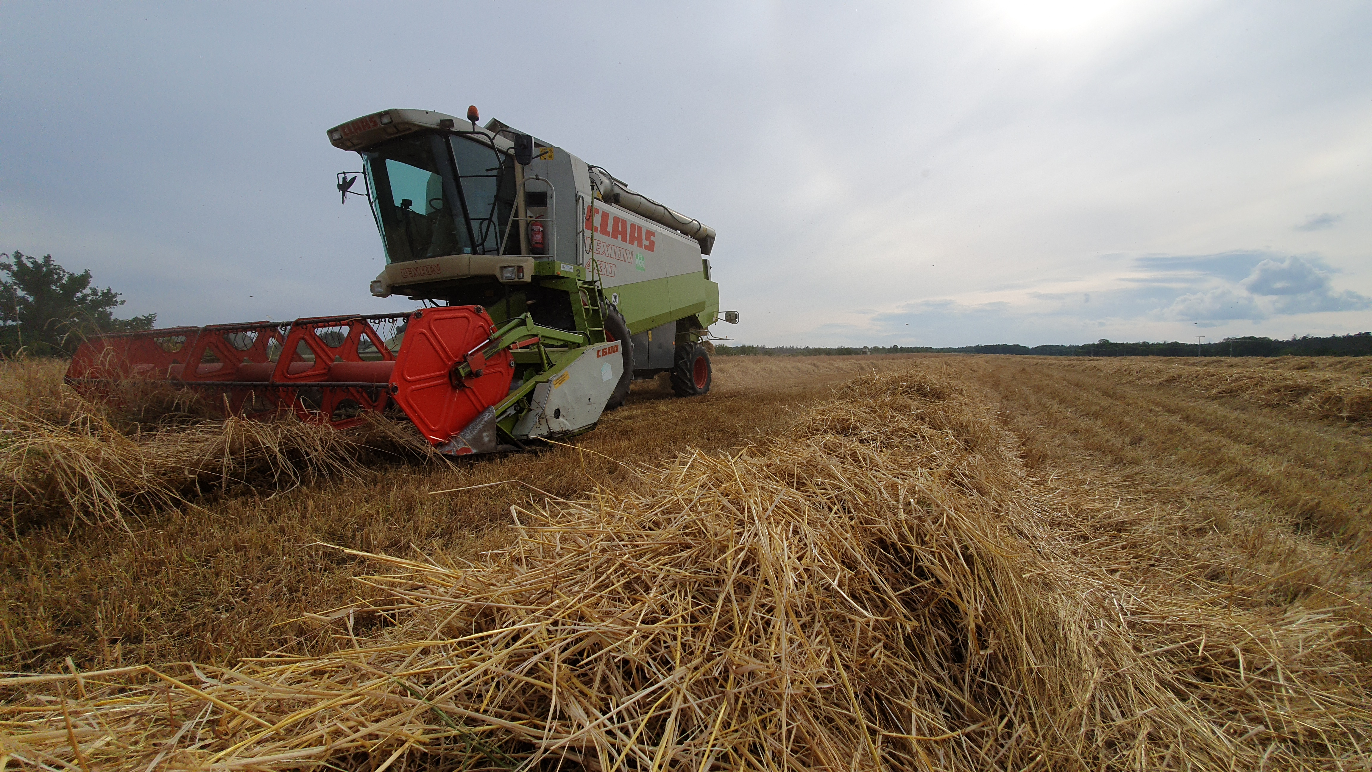 Fachausschuss Ökologischer Landbau