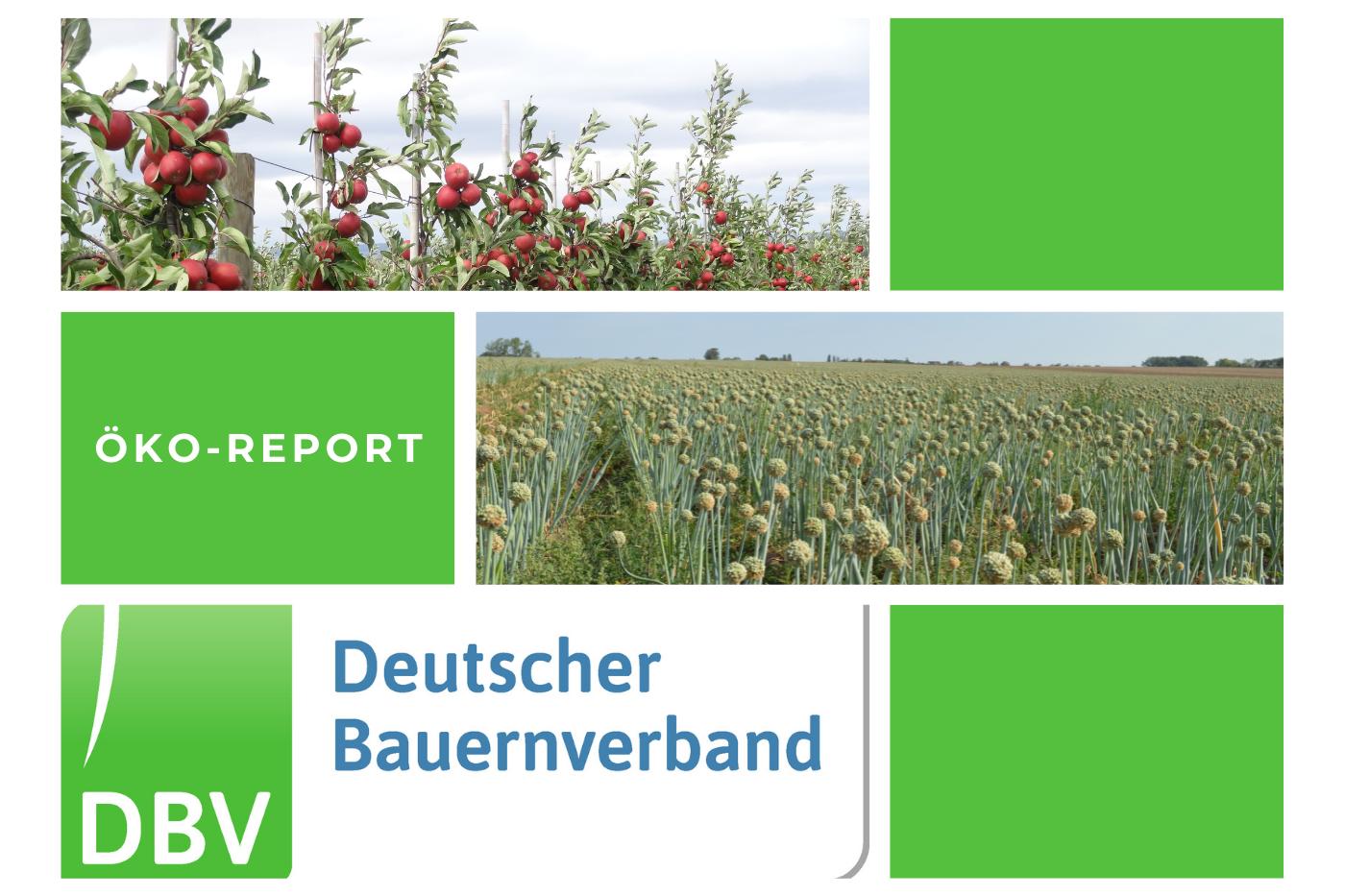 DBV Öko Report 08/2025