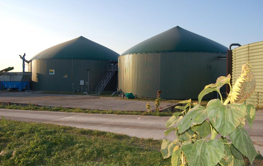 Umsetzung der Nachhaltigkeitsverordnung für Biogasanlagen: Arbeitshilfe steht bereit, Videokonferenz am 30. November