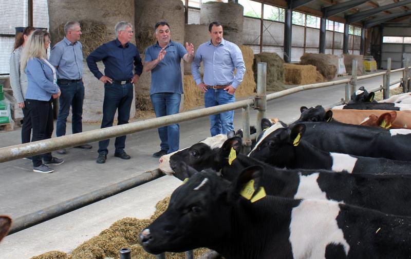 Kälberstall der Agrofarm Knau eG (v.l.): Nadine Wagner (Landratsamt Saale-Orla-Kreis, Dr. Arnfried Völlm (TLLLR Zeulenroda), Thomas Fügmann (Landrat Saale-Orla-Kreis), Torsten Zillmann (Vorstand Agrofarm Knau), Michael Deuter (Vorstand Agrofarm Knau)