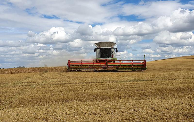 Medieneinladung: Gemeinsame Erntepressekonferenz des Thüringer Bauernverbandes und des  Thüringer Ministeriums für Infrastruktur und Landwirtschaft