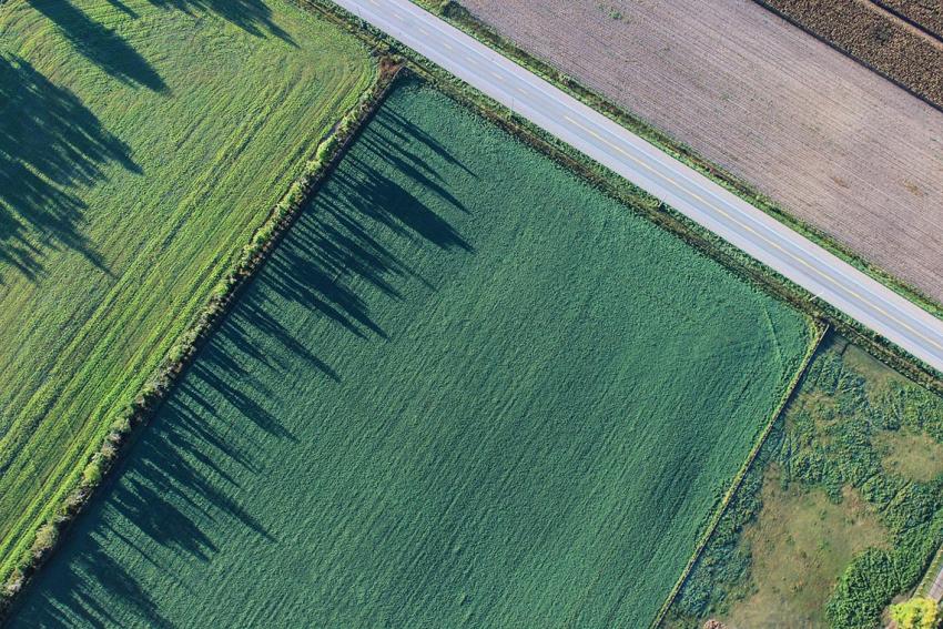 Medieninformation: Erste Lesung des Thüringer Agrarstrukturgesetzes