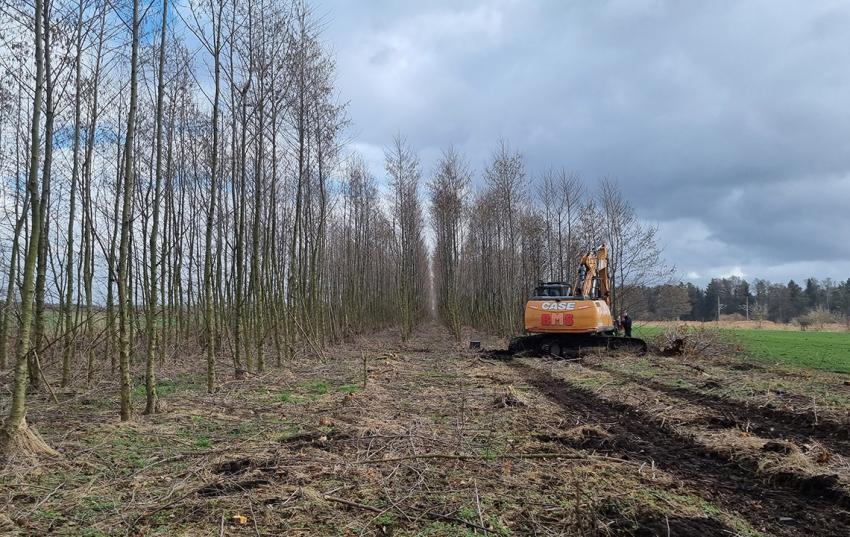 Onlineveranstaltung am 2. März: Moderne Agroforstsysteme in Thüringen