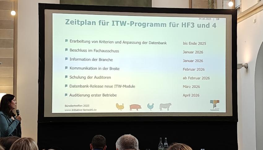 QS &amp; ITW Bündlertreffen 2025