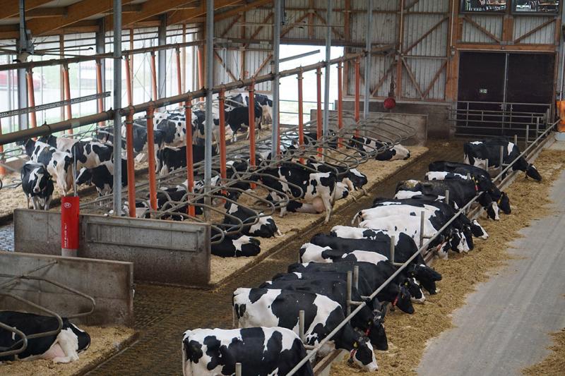 Preisverfall bei Milch und Milchprodukten beschäftigt Fachausschuss