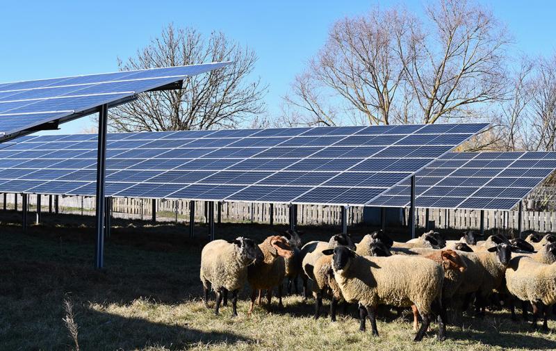 Medieninformation: Energieministerium und Bauernverband wollen mehr Sonnenenergie auf ertragsschwachen landwirtschaftlichen Flächen