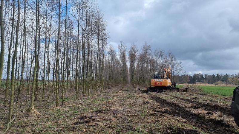 DeFAF richtet Agroforst-Flächenpool ein