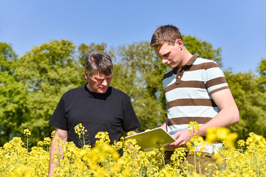 Vorbereitungslehrgang zum Landwirtschaftsmeister