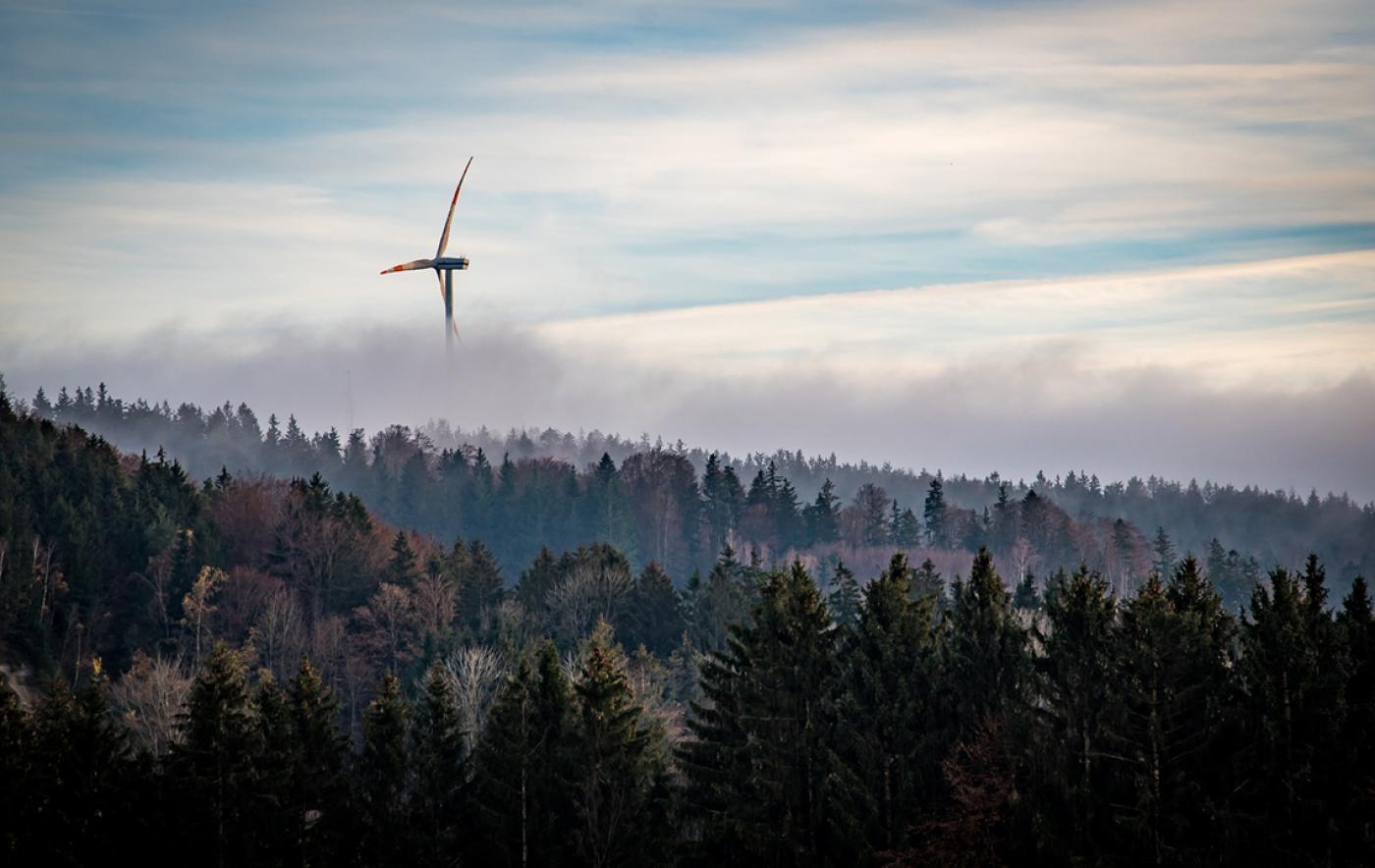 Verbot von Windenergieanlagen im Wald verfassungswidrig