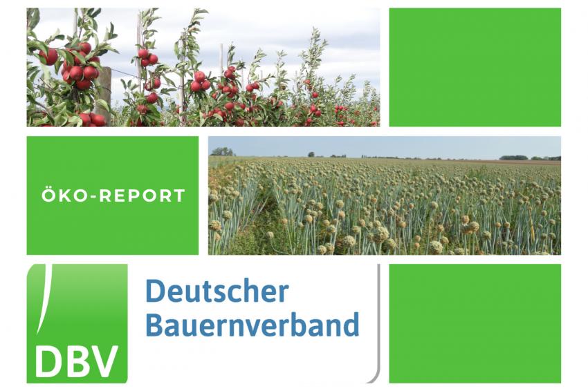 DBV Öko Report 05/2025