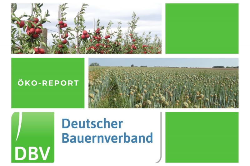 DBV Öko Report 05/2025