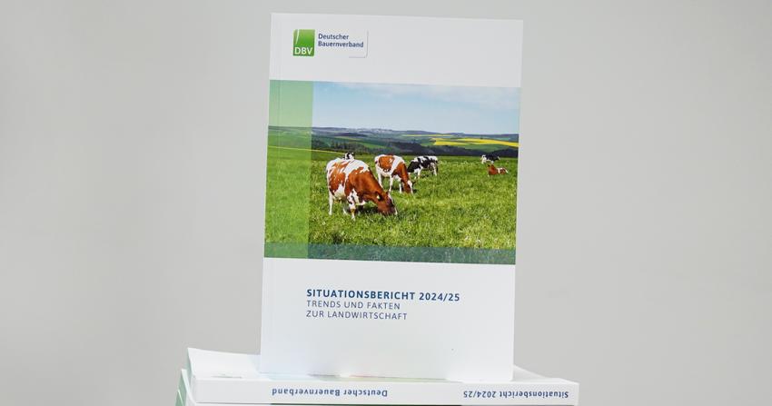 DBV-Situationsbericht: Landwirtschaft mit deutlichen Gewinneinbrüchen