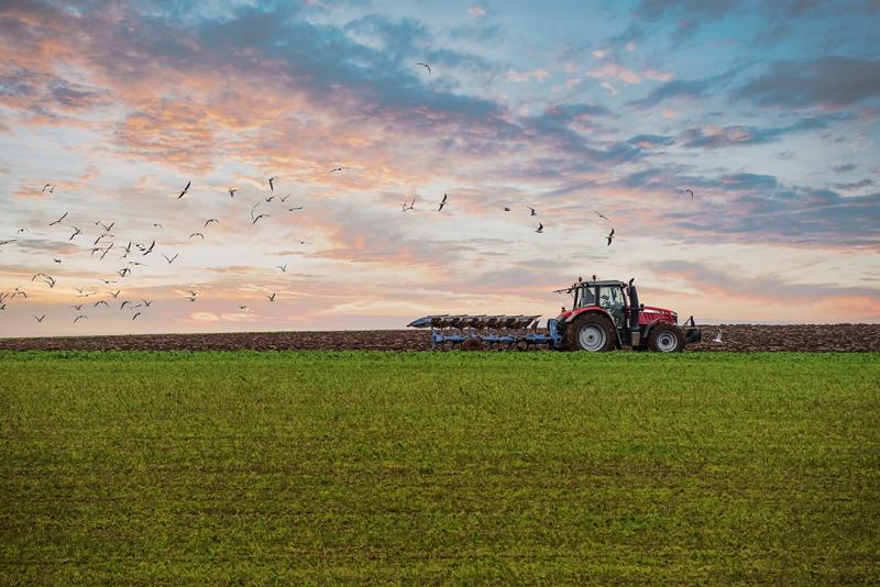 BMEL veröffentlicht Regelungen ab 2025