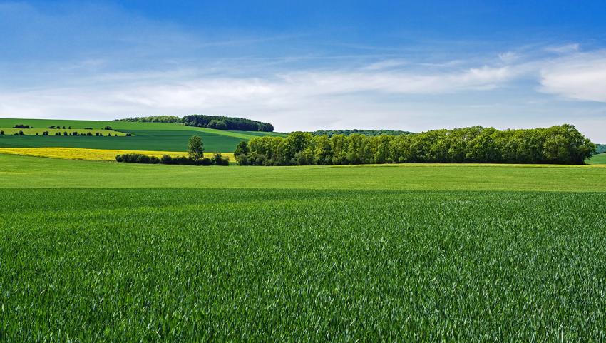 Rechtliche Änderungen zum Jahreswechsel 2024/25: Eine Übersicht über die Änderungen für die Landwirtschaft