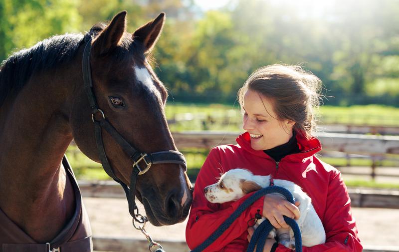 R+V: Pferd und Hund rundum gesund