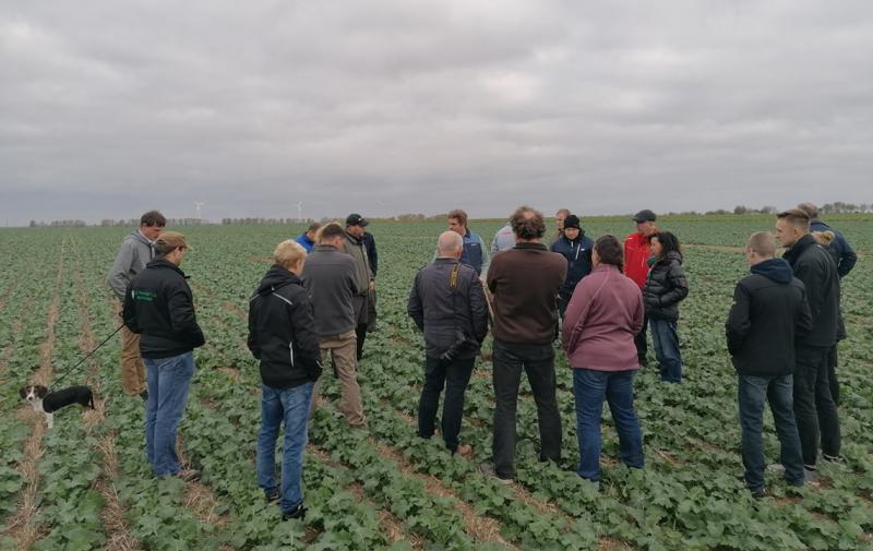 Die Strip Till-Kooperation Thüringen lädt zu Feldbegehungen ein