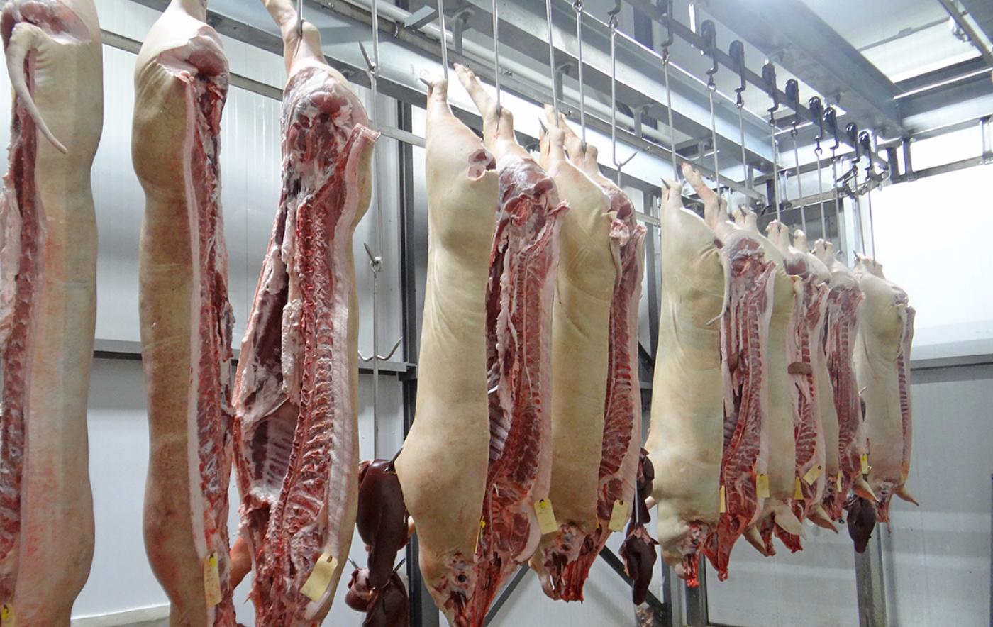 Schlachtungen und Fleischerzeugung im 1. Quartal 2022