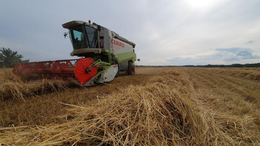 Fachausschuss Ökologischer Landbau