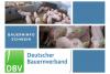 Bauerninfo Schwein 14/2025