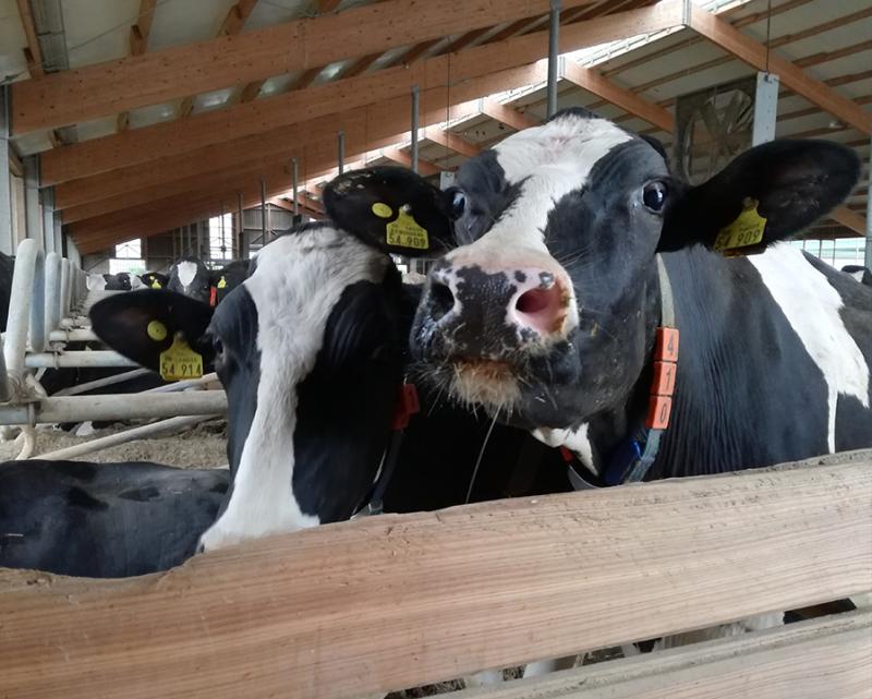 Nicht vergessen: Stichtagsmeldung in der HIT-TAM Datenbank bis zum 14. Juli 2025!