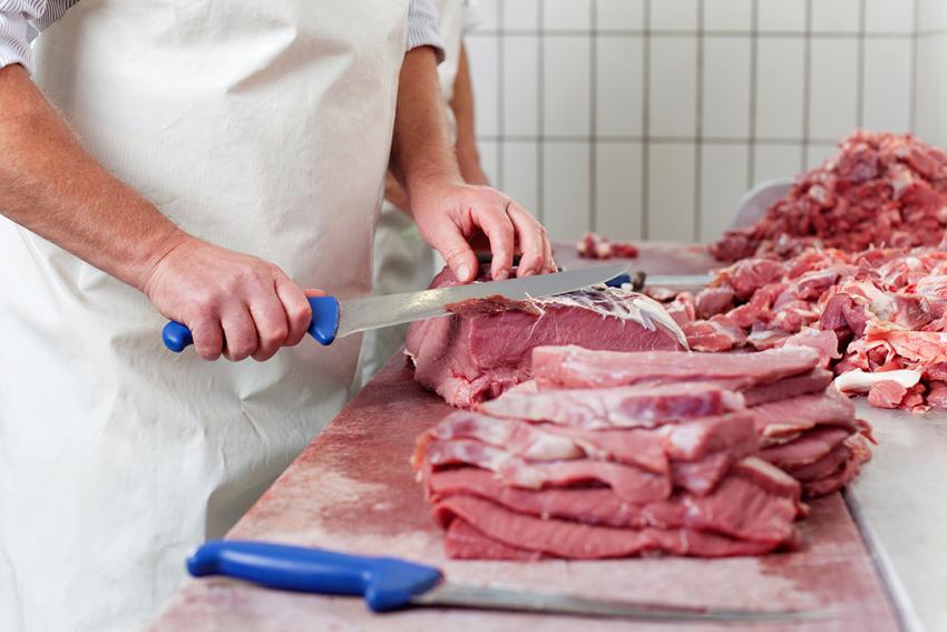 Informationsveranstaltung zur Vorstellung des neuen Ausbildungsberufes Fachpraktiker Fleisch