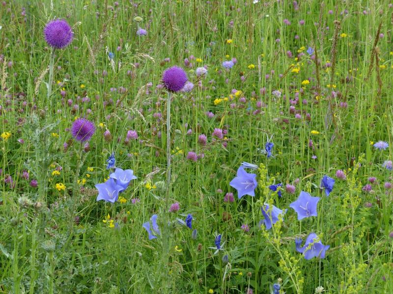 Nachweis Kennarten auf Papier – Dateigröße beachten