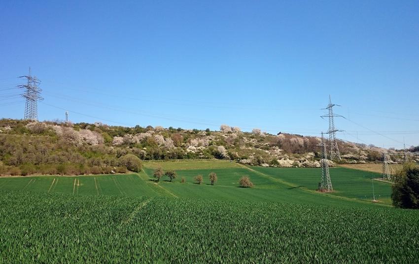 Öffentlichkeitsbeteiligung zum Leitungsvorhaben 44, Abschnitt Wolkramshausen nach Vieselbach