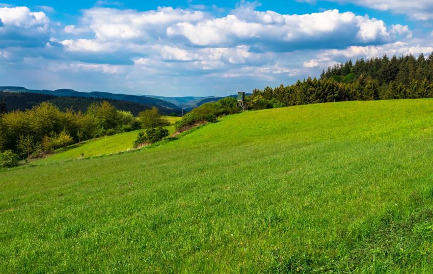 Soll der Widerspruch gegen KULAP-Bescheid aufrechterhalten werden?