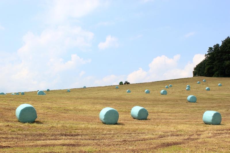TBV-Futterbörse für alle landwirtschaftliche Betriebe in Thüringen: Angebote und Gesuche kostenlos einstellen!