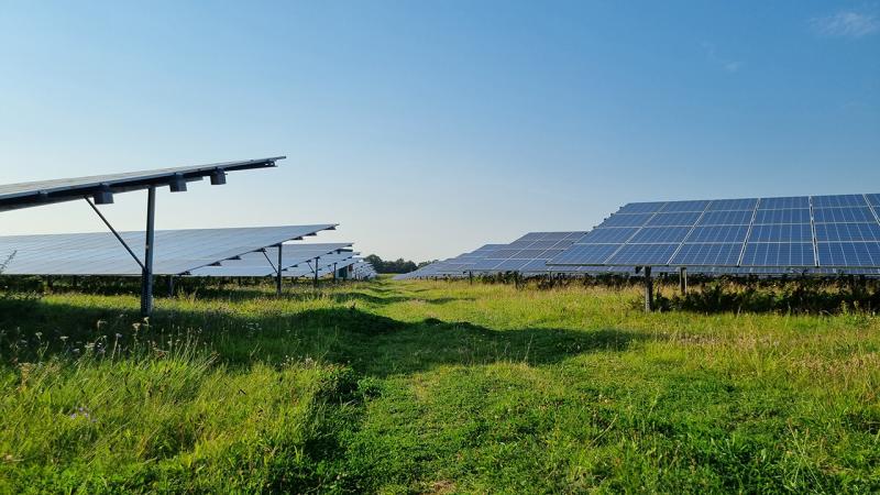 Änderungen der GAP für Agri-Photovoltaik