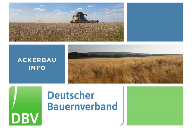 DBV Ackerbauinfo 18/2025