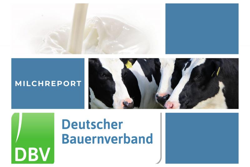 DBV Milchinfo 18/2025