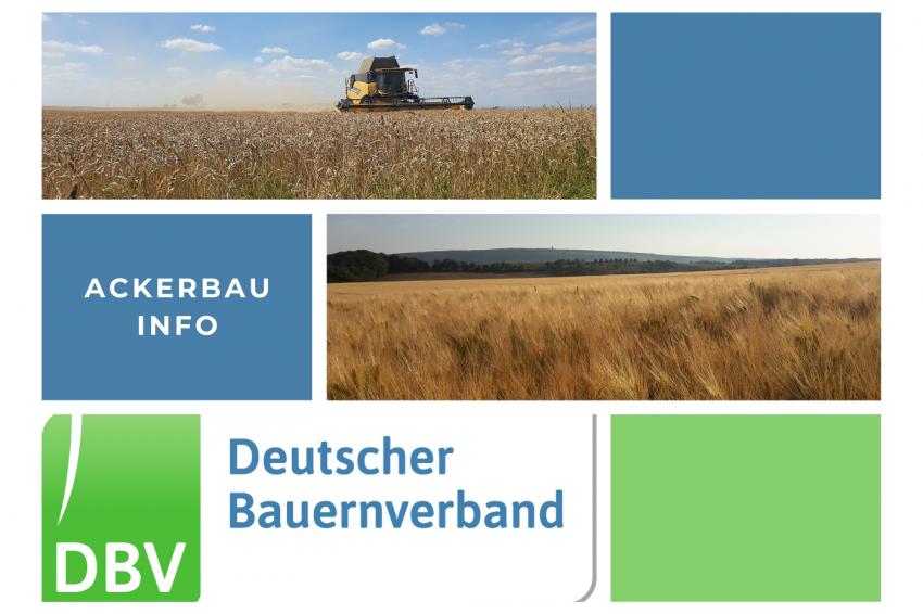 DBV Ackerbauinfo 17/2025