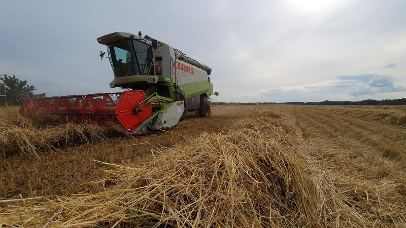 Ökolandbau in Thüringen: Öko-Ernteerhebung des Thüringer Bauernverbandes