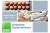 DBV Bauerninfo Geflügel 41/2021