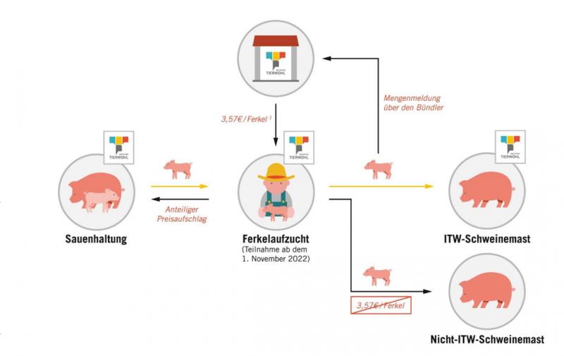 Initiative Tierwohl – neue Registrierungsphase Ferkelaufzucht!