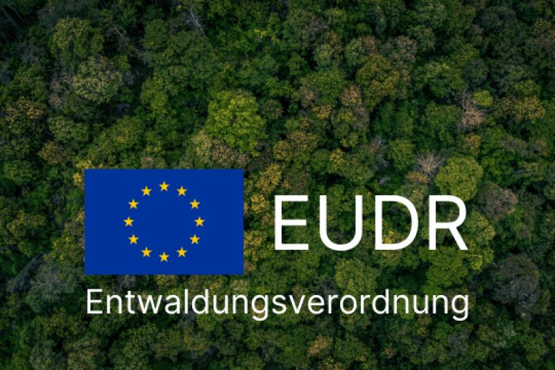 Webseminar der BLE zur EU-Entwaldungsverordnung (EUDR)