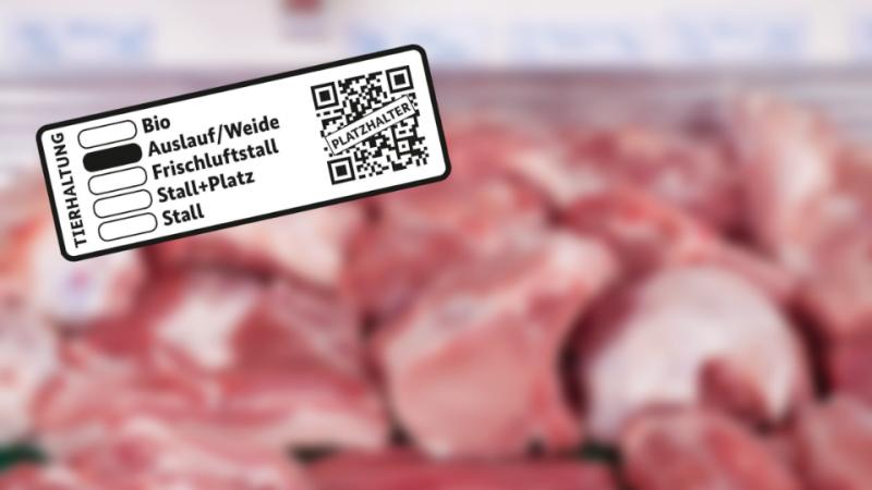 Umsetzung der Betriebsregistrierung Mastschwein nach Tierhaltungskennzeichnungsgesetz in Thüringen