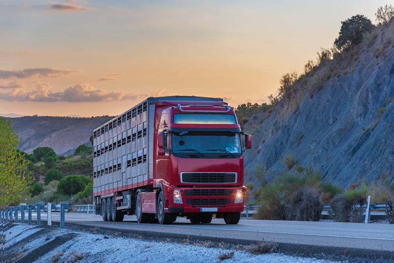 Transporteure von HIT-Abgangsmeldung befreit