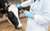 25. Gemeinschaftstagung von Landwirten und Tierärzten am 30. November