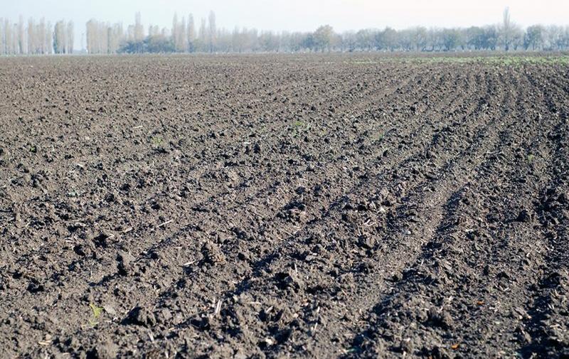 Regelungen zur Ausnahme GLÖZ 8-Brache zwingend beachten