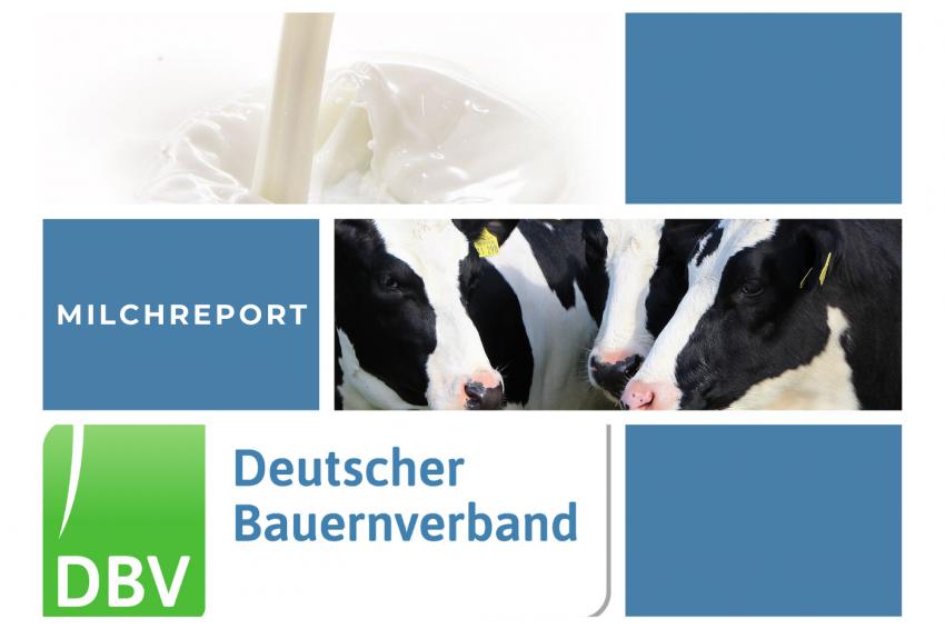 DBV Milchinfo 19/2025