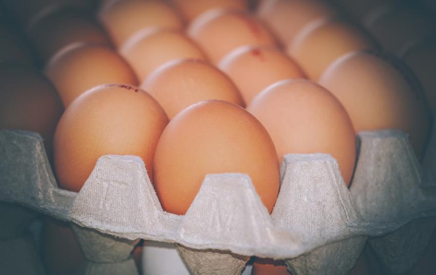 Deutscher Bauernverband: Fachausschuss Eier und Geflügel